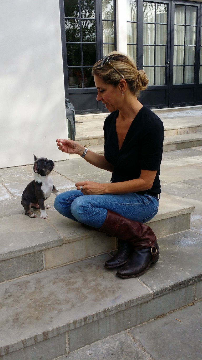 how-to-stop-your-puppy-from-biting-the-loved-dog